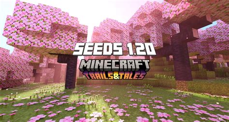 minecraft 1.20 seeds|TOP 50 BEST SEEDS For MINECRAFT 1.20! (So Far).